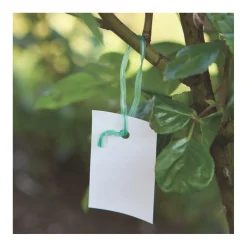 Drehbinder 100 Stück*Windhager Sale