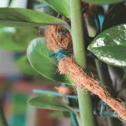 Windhager Gartenschnur Jute grün