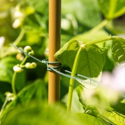 Rankdraht 50m grün^Windhager Best