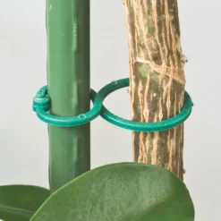 Windhager Ringbinder 25 Stück