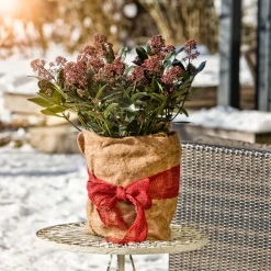 Winterschutz-Vliesmatte 150 x 38 cm^ Online