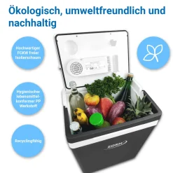 Akku-Kühlbox ZE32 30 L 12/230 V grau*Zorn Outlet